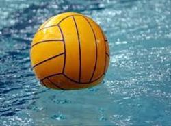 Water Polo Ball