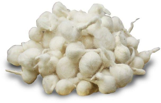 cotton wicks