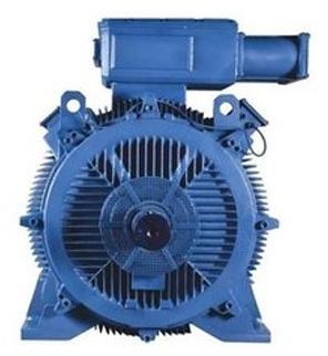Crane Duty Motor, Power : 10-100 KW