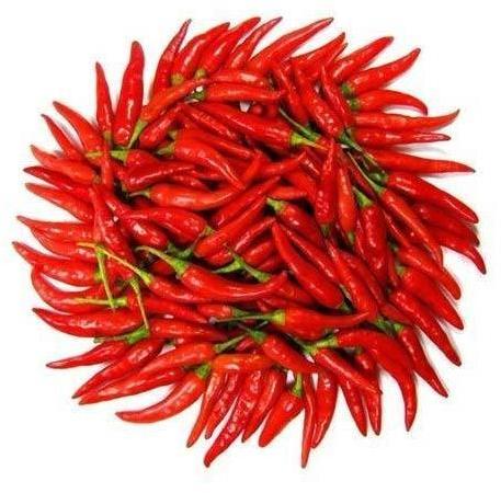 Organic Red Chilli, Packaging Type : Plastic Packet