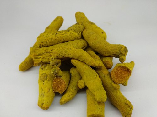 double polished turmeric finger