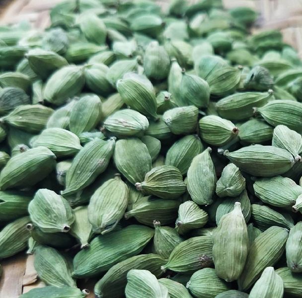 Natural Green Cardamom, for Cooking, Spices, Packaging Type : Plastic Pouch, Plastic Packet