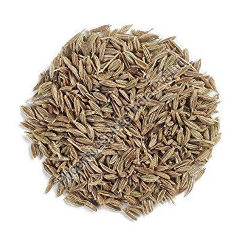 Organic Raw cumin seeds, Packaging Type : Plastic Packet