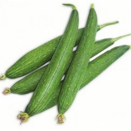 Organic Fresh Sponge Gourd, Certification : FSSAI Certified