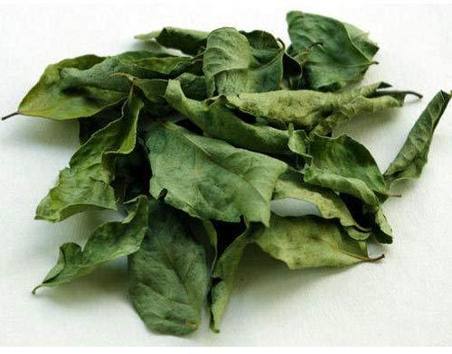 Raw Organic Dried Curry Leaves, Packaging Type : Plastic Packet