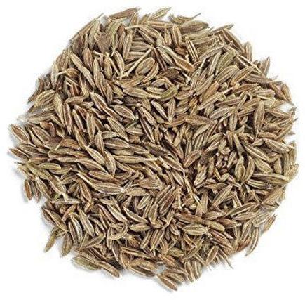 Cumin seeds, for Cooking, Packaging Type : Plastic Pouch, Plastic Packet, Plastic Box, Paper Box