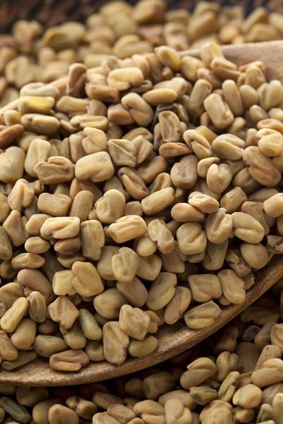 Natural Fenugreek Seeds, for Cooking, Packaging Type : Plastic Pouch, Plastic Packet, Plastic Box