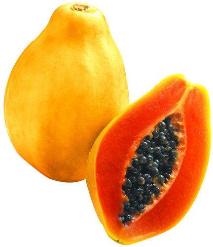 Common fresh papaya, Shelf Life : 1week