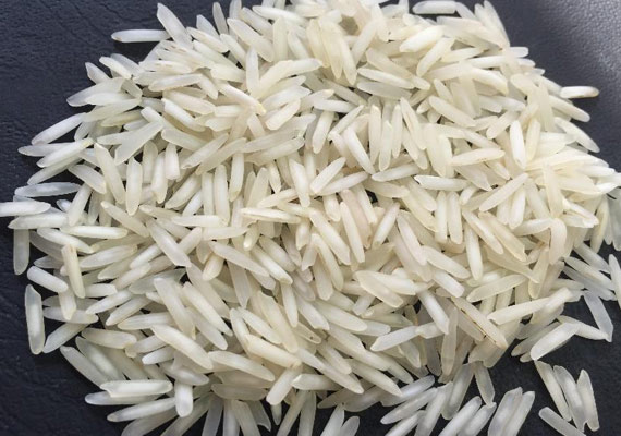 1121 Steam Non Pesticide Rice, for High In Protein, Variety : Long Grain, Medium Grain, Short Grain