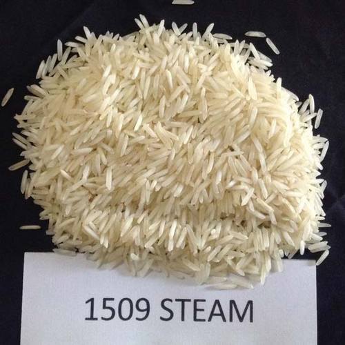 Soft Organic 1509 Steam Basmati Rice, for High In Protein, Variety : Long Grain, Medium Grain, Short Grain