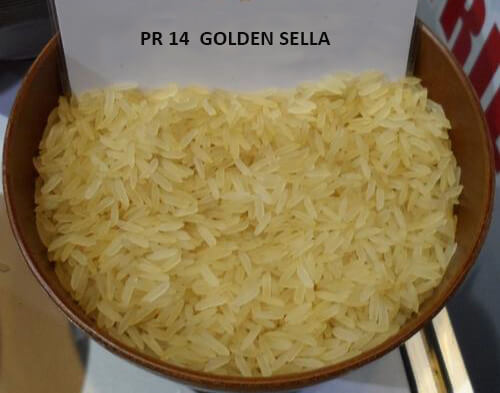 PR14 Golden Sella Non Basmati Rice, for High In Protein, Variety : Long Grain, Medium Grain, Short Grain