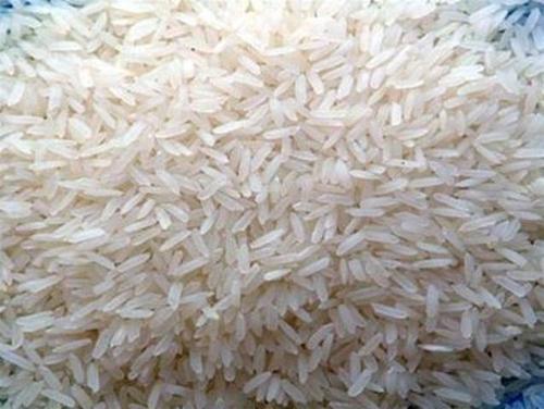 PR14 Raw Non Basmati Rice, for High In Protein, Variety : Long Grain, Medium Grain, Short Grain