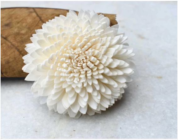 Wild Zinnia Sola Wood Flowers, for Home Decoration, Party Decoration, Color : White, Purple