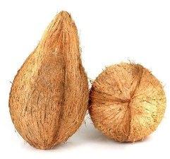 Hard Natural Semi Husked Coconut, for Free From Impurities, Healthy, Coconut Size : Medium, Large