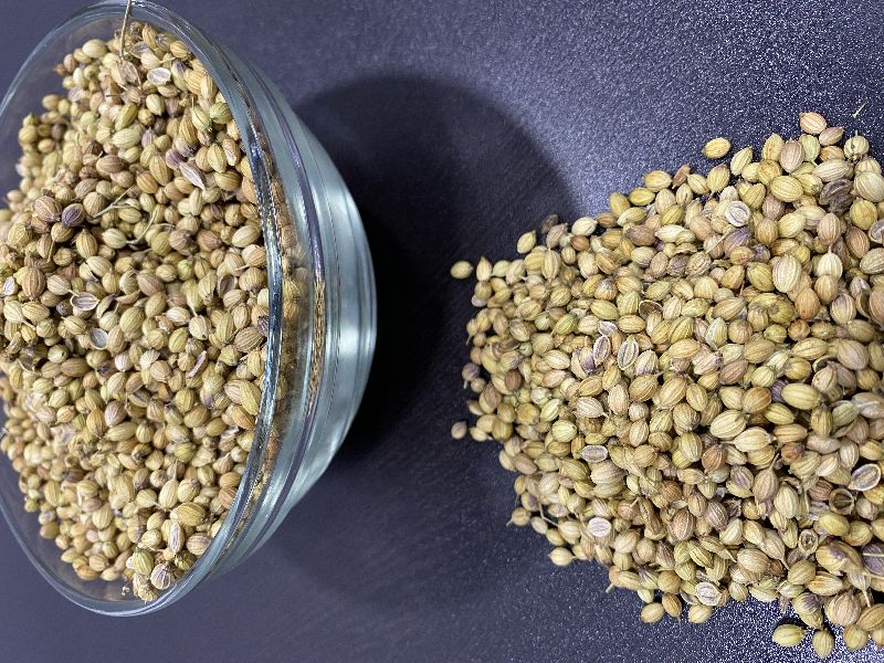 coriander seeds