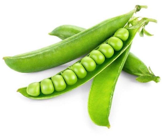 Organic Fresh Green Peas, for Cooking