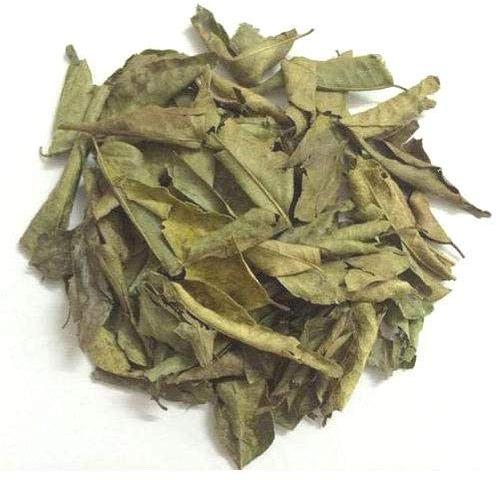 Dry Curry Leaves, Grade Standard : Medicine Grade