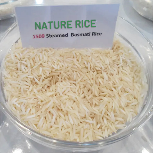 Hard 1509 Steam Basmati Rice, Certification : APEDA, FSSAI, ISO 9001:2008