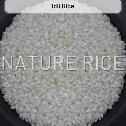 Hard Organic Idli Rice, Style : Dried