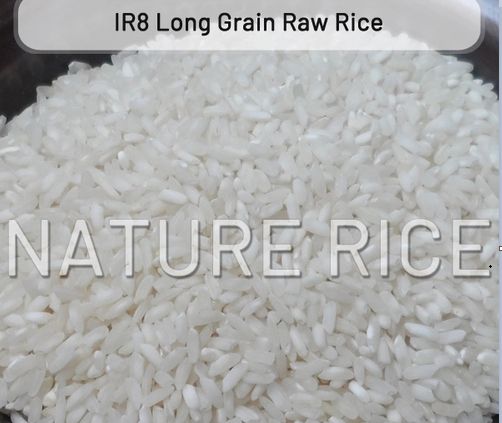 IR8 Long Grain Raw Rice, Certification : APEDA, FSSAI, ISO 9001:2008