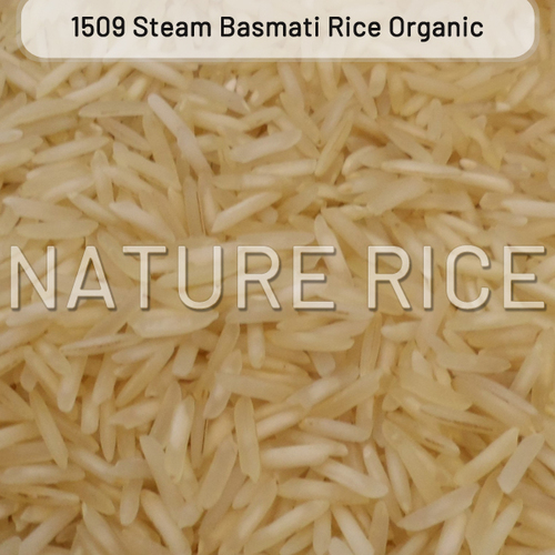 Pesticides Free Organic 1509 Steam White Basmati Rice