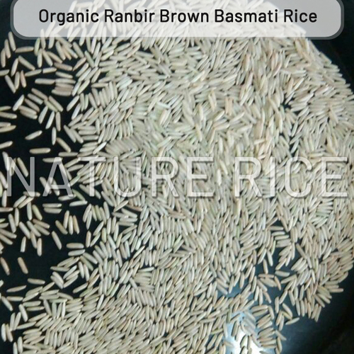 Organic Ranbir Brown Basmati Rice, Certification : APEDA, FSSAI, ISO 9001:2008