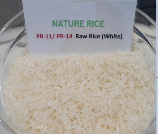 PR 11-PR 14 Raw White Rice, Certification : APEDA, FSSAI, ISO 9001:2008