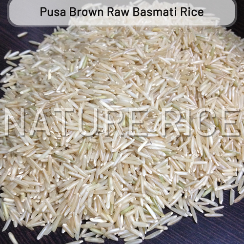 Pusa Brown Raw Basmati Rice, Certification : APEDA, FSSAI, ISO 9001:2008