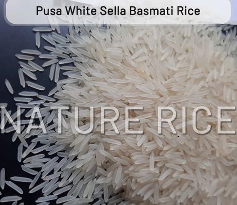 Pusa White Sella Basmati Rice, Certification : APEDA, FSSAI, ISO 9001:2008