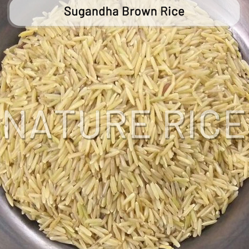 Hard Sugandha Brown Rice, Certification : APEDA, FSSAI, ISO 9001:2008