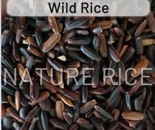 Hard Wild Rice, Certification : APEDA, FSSAI, ISO 9001:2008