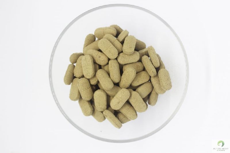 Moringa Drumstick Tablets, Packaging Type : Bottle, Pouches