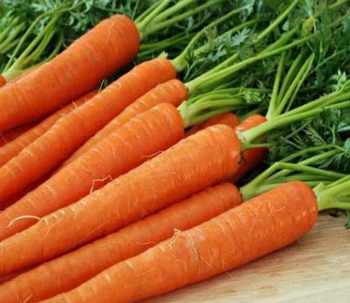 Fresh Carrot