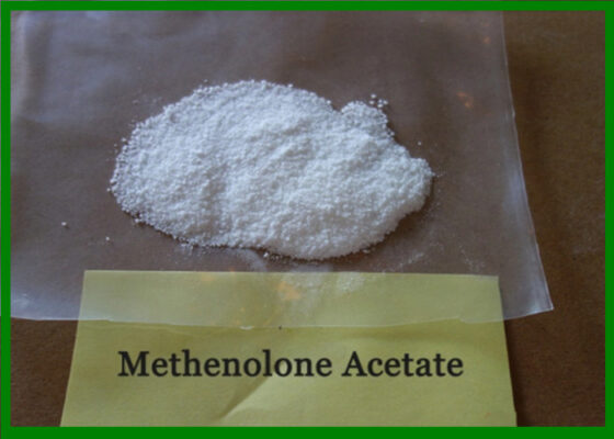Buy Methenolone Acetate (Primobolan)