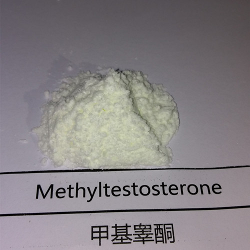 Buy Methyltestosterone
