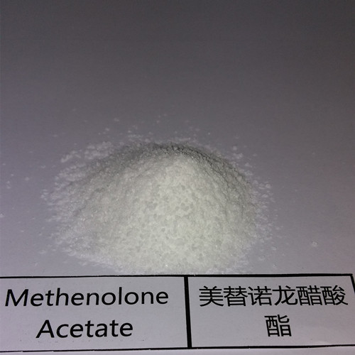 Buy Primobolan – Methenolone Acetate