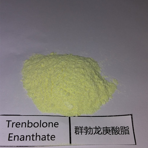 Buy Raw Trenbolone Enanthate Powder