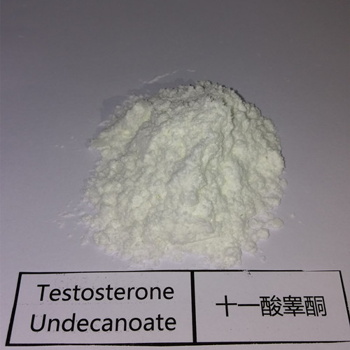Buy Test U &amp;ndash; Testosterone undecanoate Powder