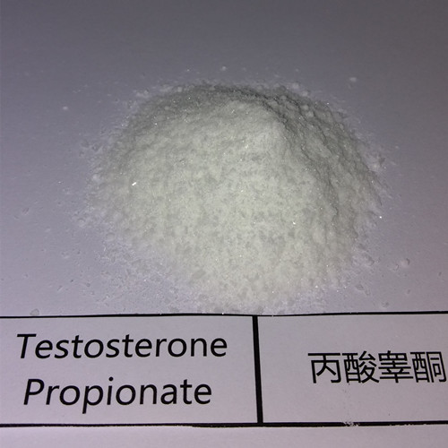 Buy Testosterone Propionate