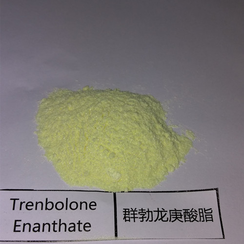 Buy Tren Enan – Trenbolone