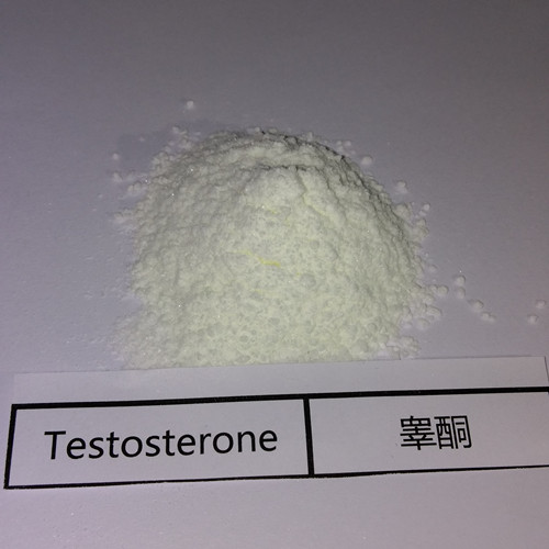 Buy TTE – Suspention – Testosterone