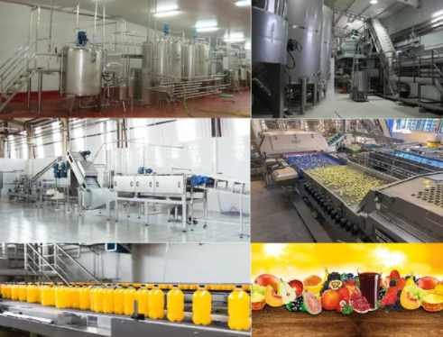 Electric Fruit Juice Making Plant, for Industrial, Color : Silver