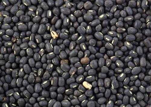 Black Mung Beans