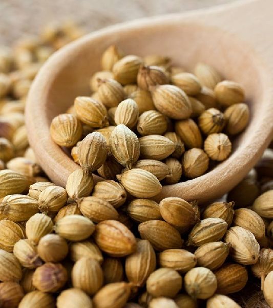 coriander seeds