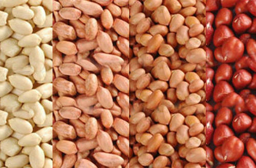 peanut kernels