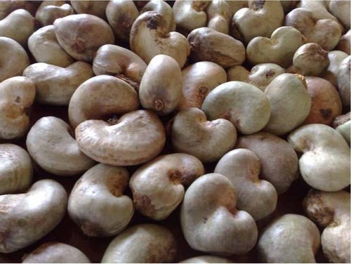 Raw cashew nuts