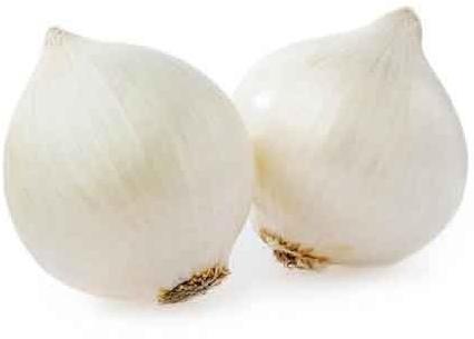 Natural Fresh White Onion, for Cooking, Fast Food, Packaging Type : Gunny Bags