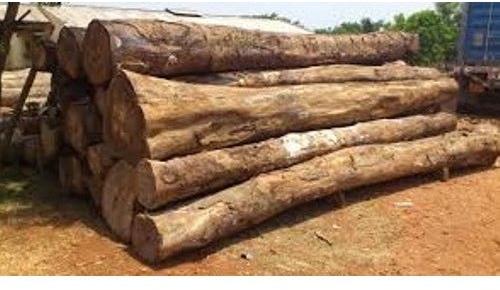 Round Cherry Wood Log, Color : Brown