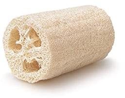 loofah spong