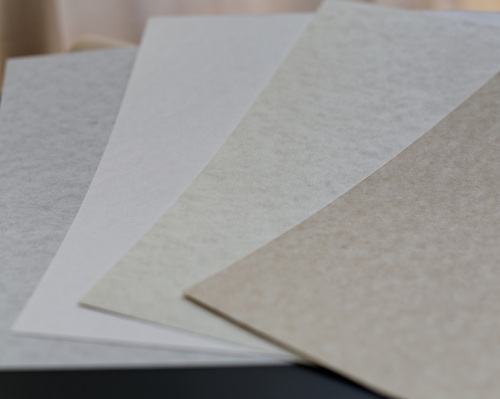 Printed Parchment Paper